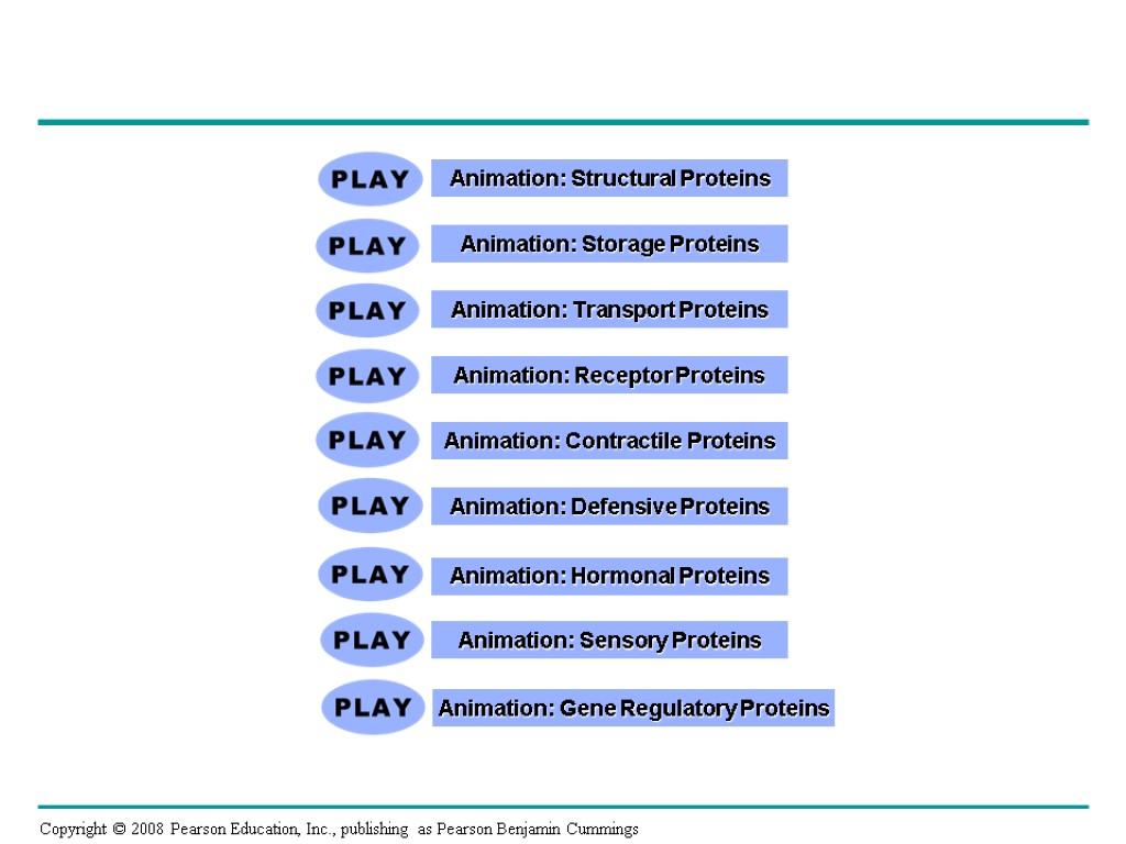 Animation: Structural Proteins Animation: Storage Proteins Animation: Transport Proteins Animation: Receptor Proteins Animation: Contractile